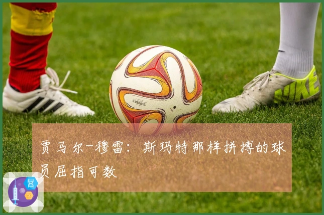 贾马尔-穆雷：斯玛特那样拼搏的球员屈指可数